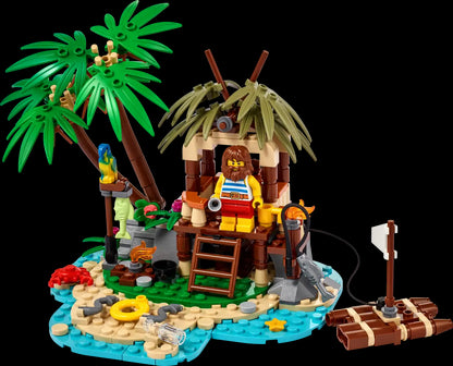 40566 Ray the Castaway