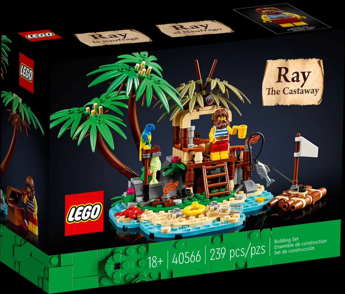 40566 Ray the Castaway